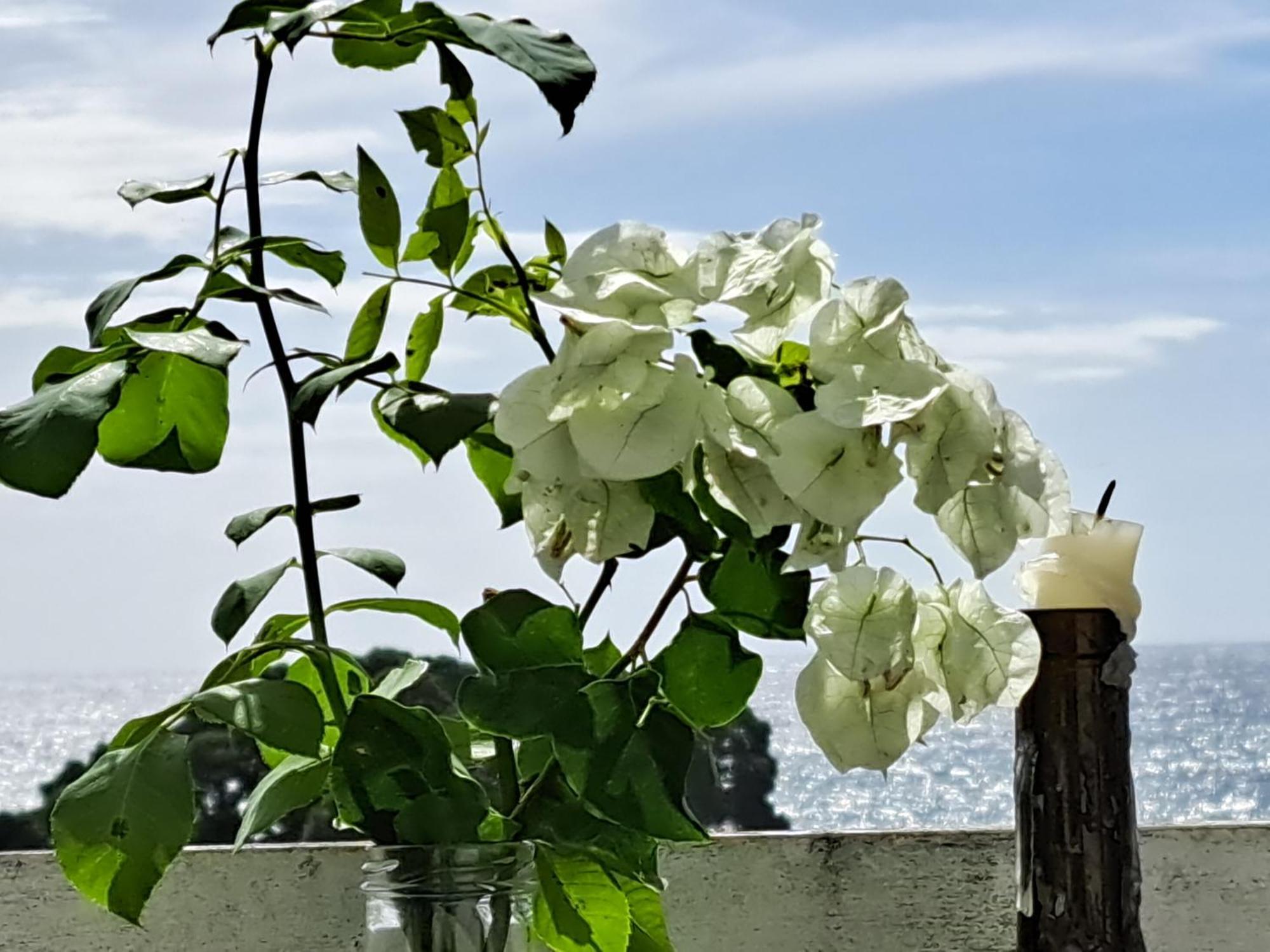 Friends'House - Azores Lagoa  Ngoại thất bức ảnh